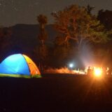 photo of blue and yellow lighted dome tent surrounded by plants during night time