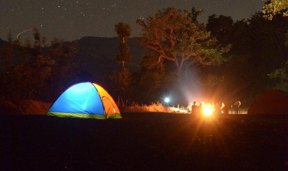 photo of blue and yellow lighted dome tent surrounded by plants during night time